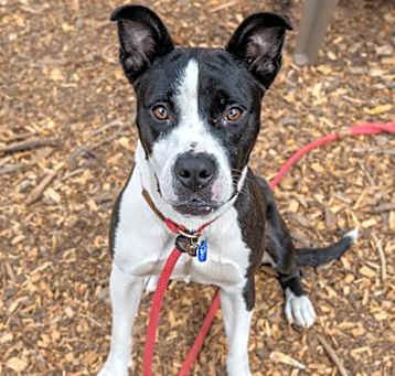 Photo of Bella Jean