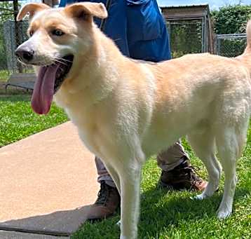 Photo of Dug