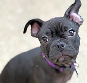 Photo of Maggie Mae B505