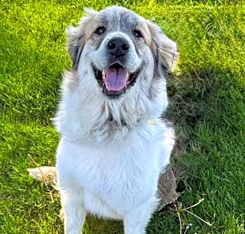 Photo of Macy
