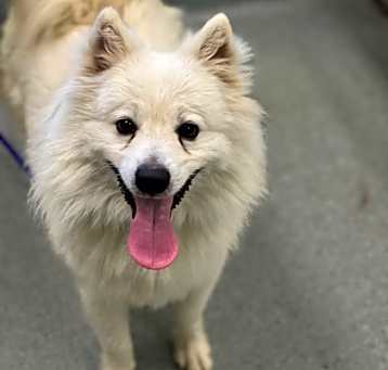 Photo of Bart