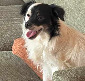 Photo of Wilbur Rufus