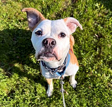 Photo of Tooty