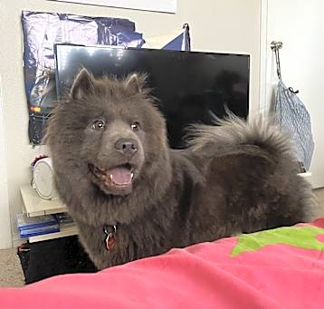 Photo of Yuri