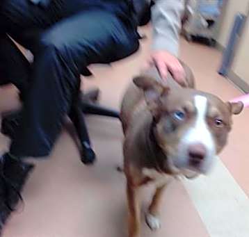 Photo of A1380704