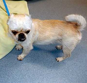 Photo of PANCAKE