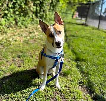 Photo of SALLY