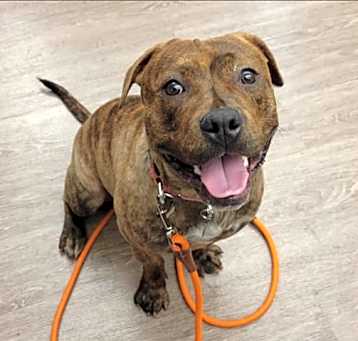 Photo of TUCKER