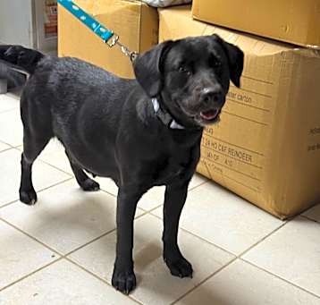 Photo of Millie Mae