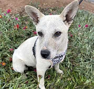 Photo of NALA