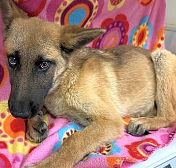 Photo of LILLY