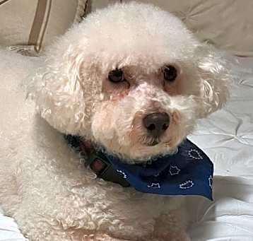 Photo of Winston
