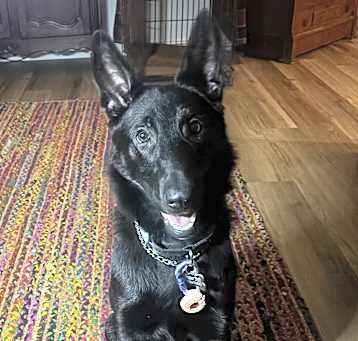 Photo of Sadie May