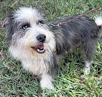Photo of OSCAR