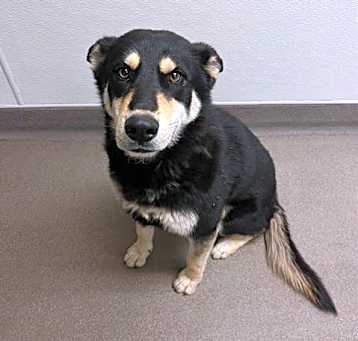Photo of NOVA