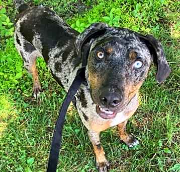 Photo of Bronx