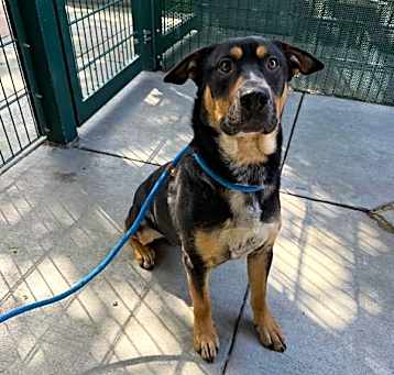 Photo of ROMEO