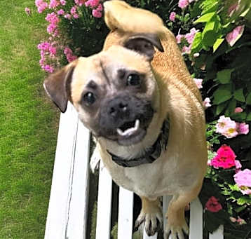 Photo of Charlie