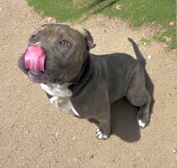 Photo of Bronx