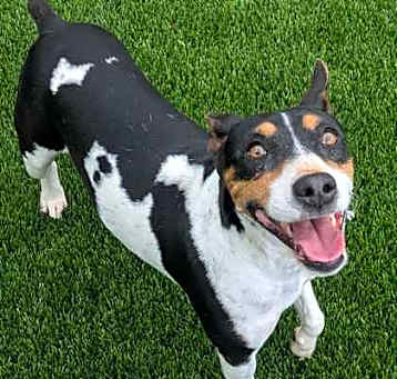 Photo of Penelope