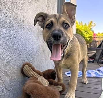 Photo of Hugo