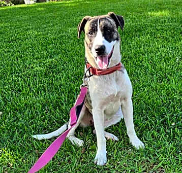 Photo of Louella