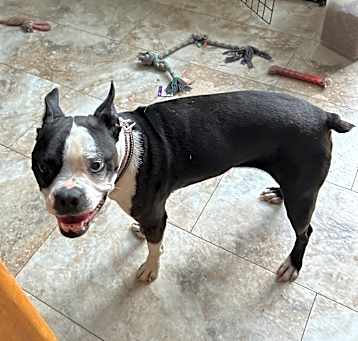 Photo of Olivia