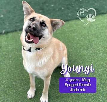Photo of Youngi
