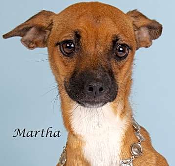 Photo of Martha