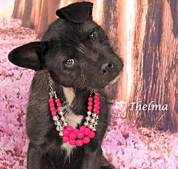 Photo of Thelma