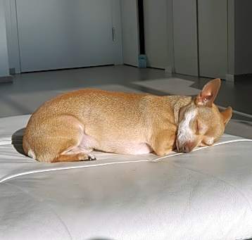 Photo of Troy