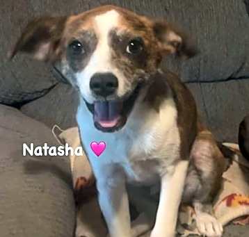 Photo of Natasha