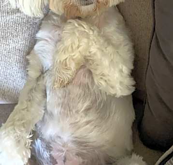 Photo of Molly