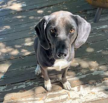 Photo of Maddy