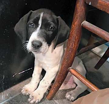 Photo of Mable