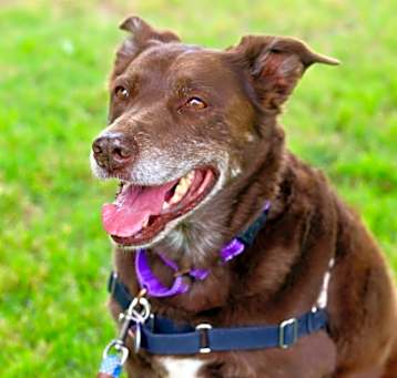 Photo of Coco