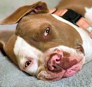 Photo of Daisy Duke