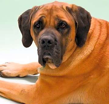 Photo of CODA
