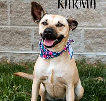 Photo of Karma