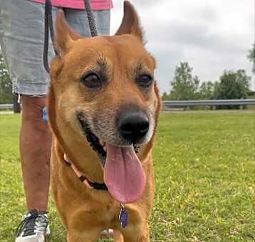 Photo of Bonnie