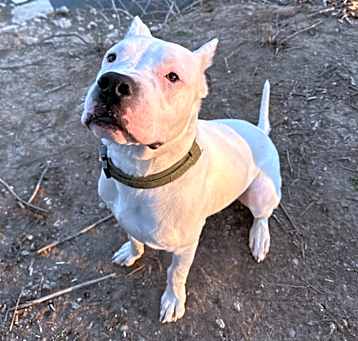 Photo of Lennox