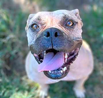 Photo of BELLA