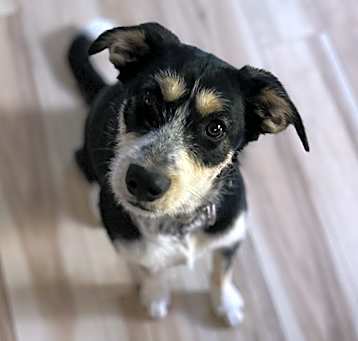 Photo of Kiah