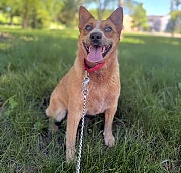 Photo of Tilly