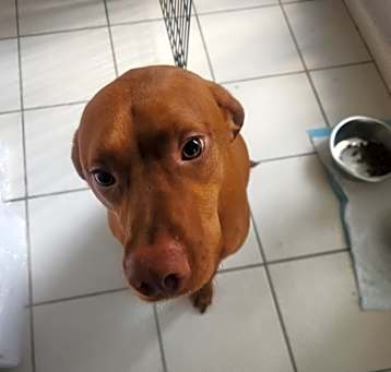Photo of Echo