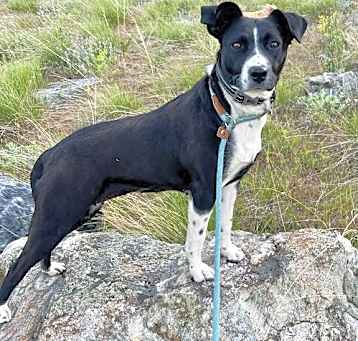 Photo of Leola