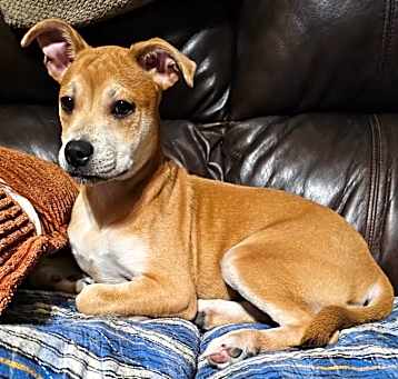 Photo of Zaylee LB
