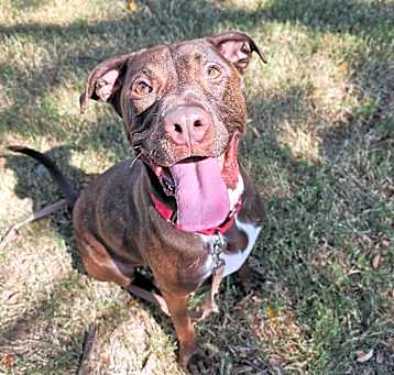 Photo of Sawyer
