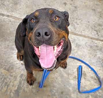 Photo of Oliver