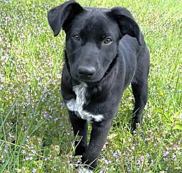 Photo of Chi Chi